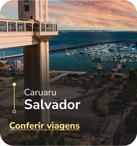Caruaru - Salvador Conferir viagens